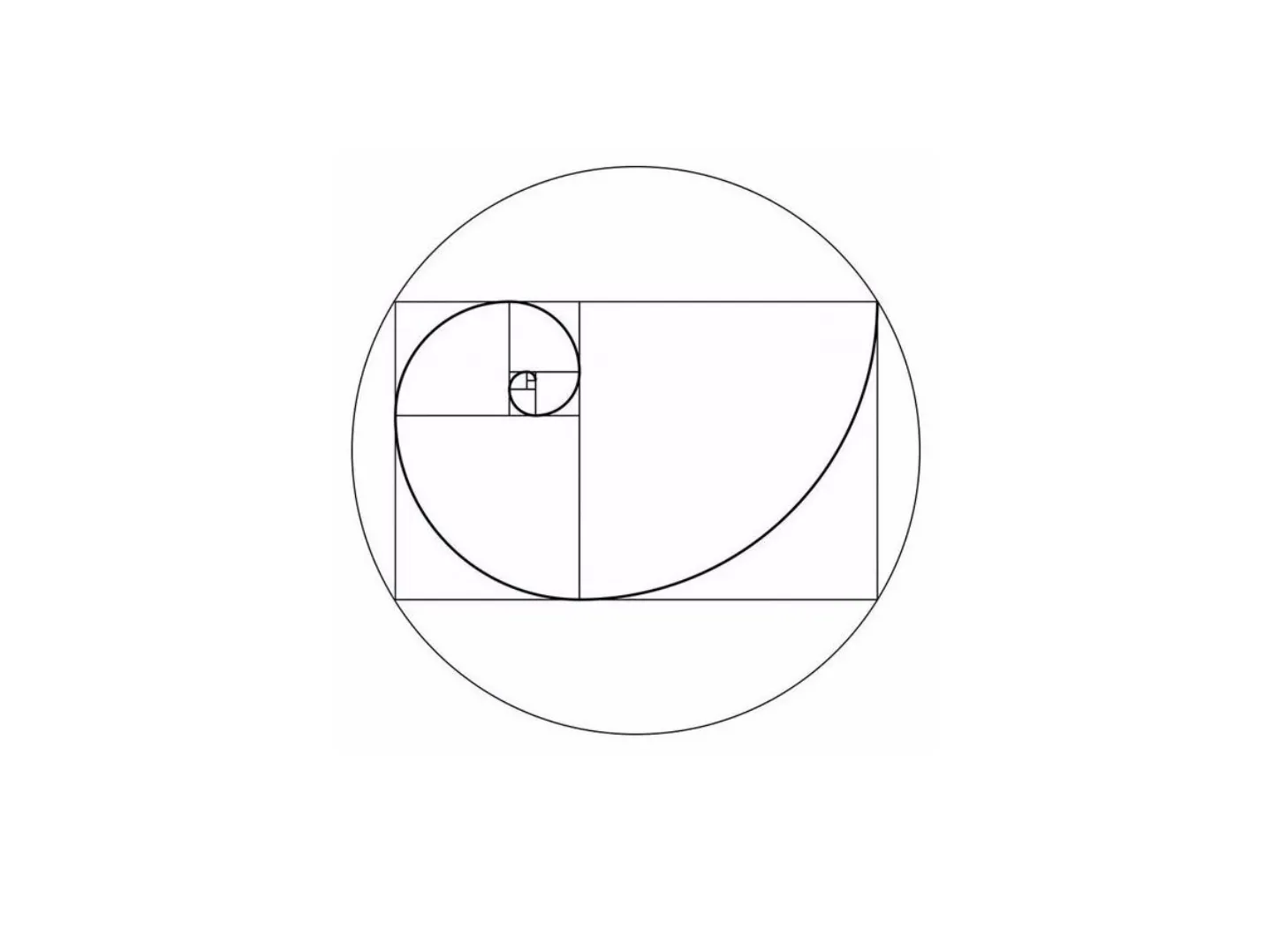 Fibonacci Numbers