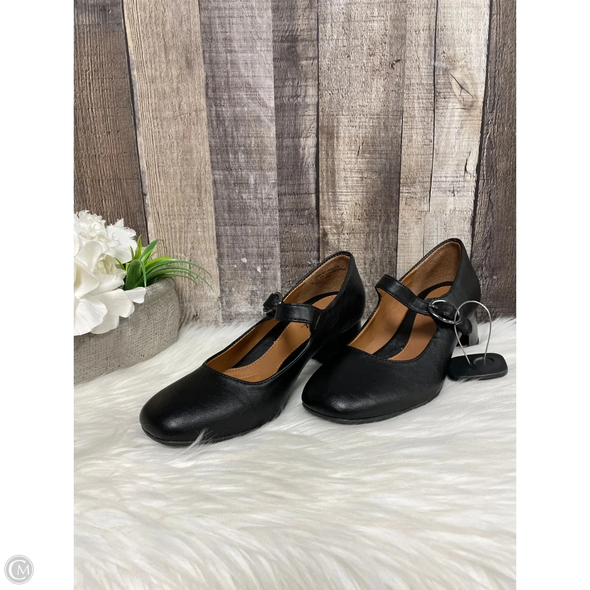 Shoes Heels Block By Sofft In Black, Size: 7