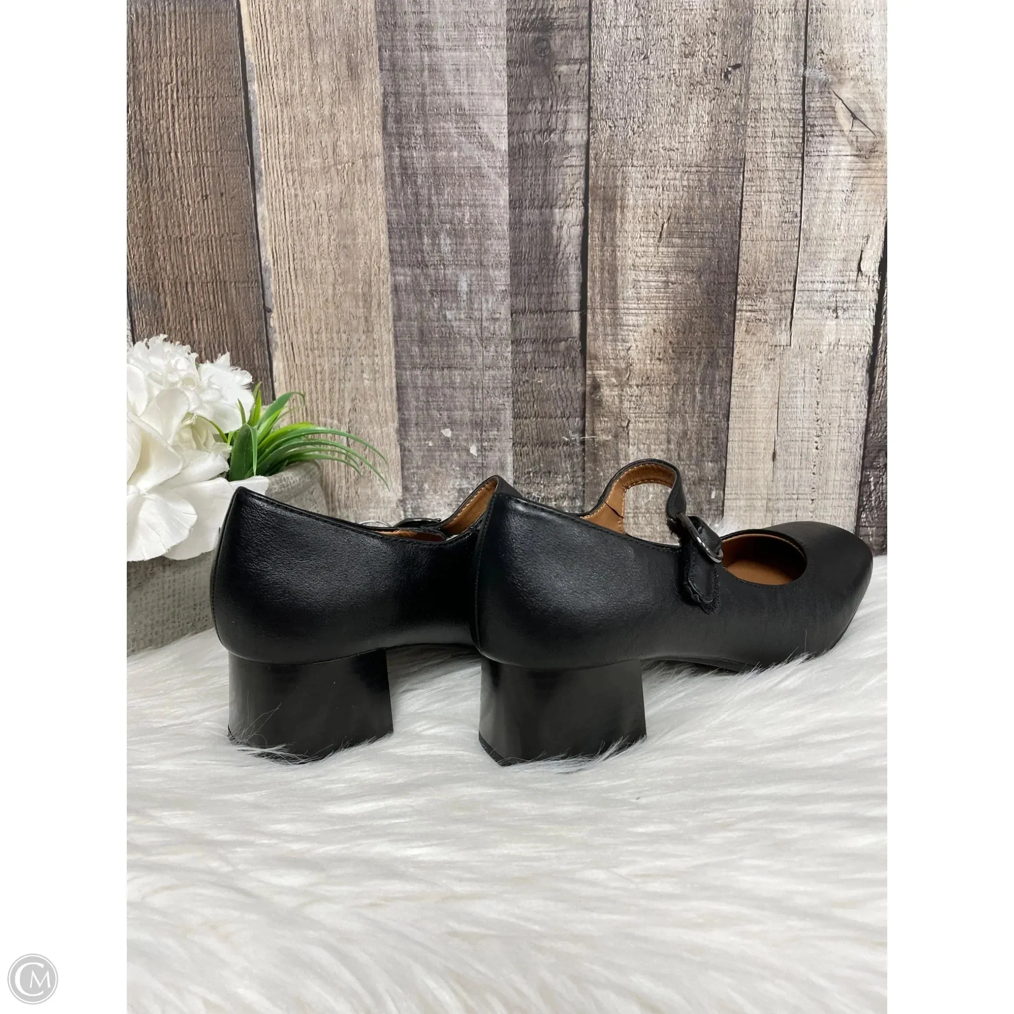 Shoes Heels Block By Sofft In Black, Size: 7