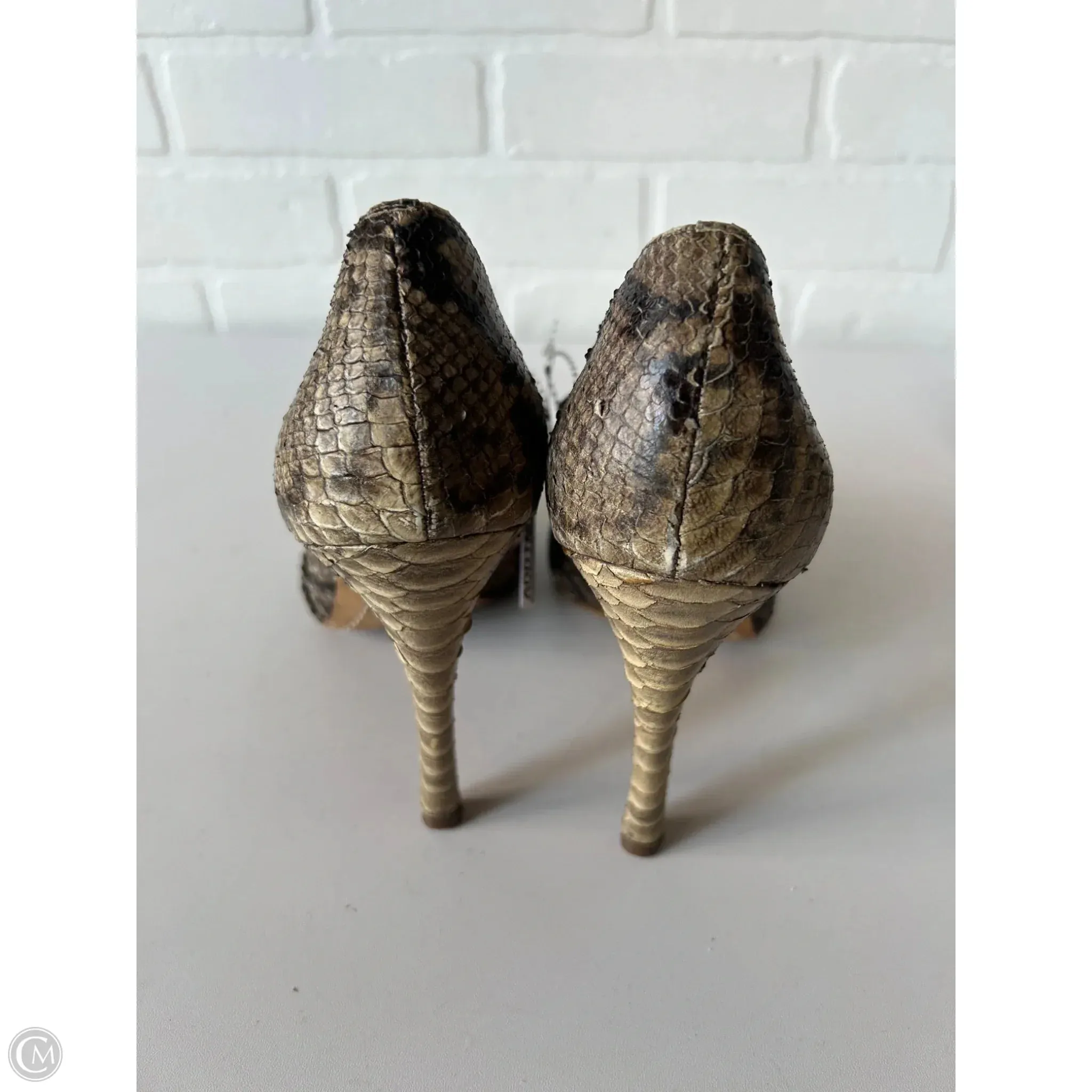 Shoes Heels Stiletto By Boutique   In Snakeskin Print, Size: 10